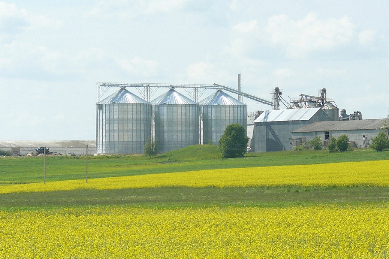 Lituania: 8 000 toneladas de trigo