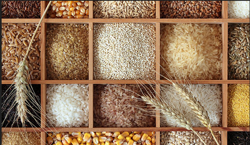 Multi-Commodity Processing Solutions