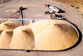 Temporary storage protects grain without a significant capital investment